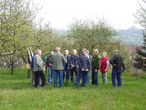 Jarní ošetřování stromů a výsadba nových ve školní zahradě - 6.4.2014