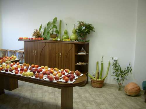 Slovácké hody - 18.10.2003