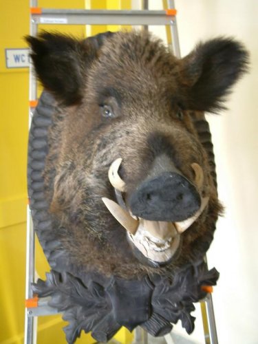 Výstava výrobků - 6.3.2004