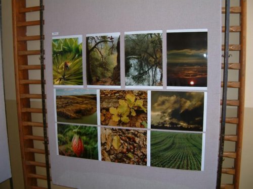 Výstava výrobků - 6.3.2004