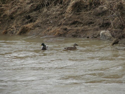 Tání sněhu - 28.3.2006