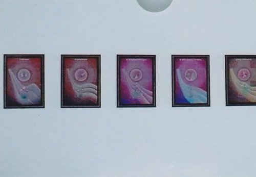 Svěcení Křížové cesty v Kapli sv. Ducha - 9.2.2011