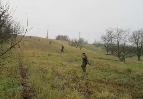 Hon Mysliveckého sdružení Boří - 26.11.2011