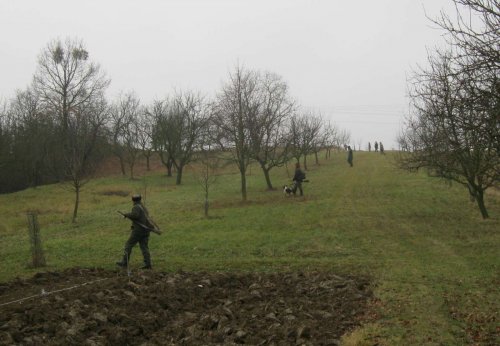Hon Mysliveckého sdružení Boří - 26.11.2011