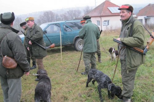 Hon Mysliveckého sdružení Boří - 26.11.2011