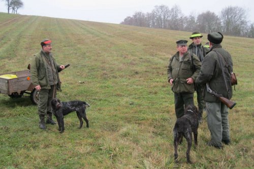 Hon Mysliveckého sdružení Boří - 26.11.2011