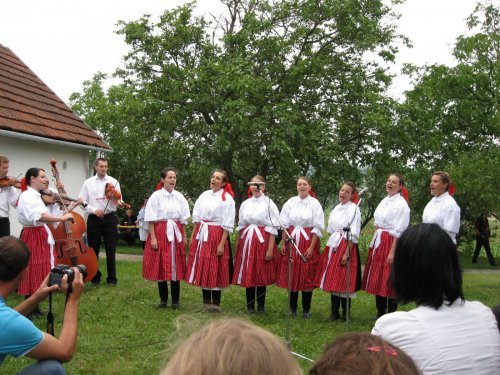 Soubor /2012-07-21-frisky-vlcnov-07.jpg