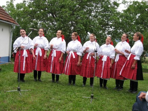 Podolské Frišky na Hodovém zpívání ve Vlčnově - 21.7.2012