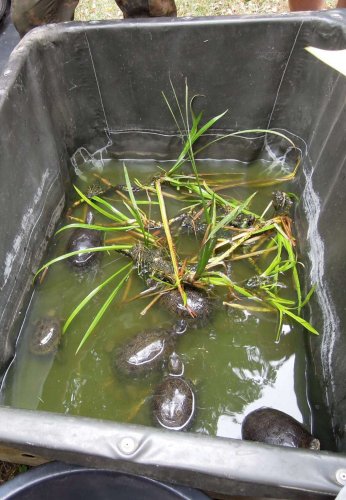 Rozloučení s prázdninami - V přírodě jsme jako doma - 25.8.2012