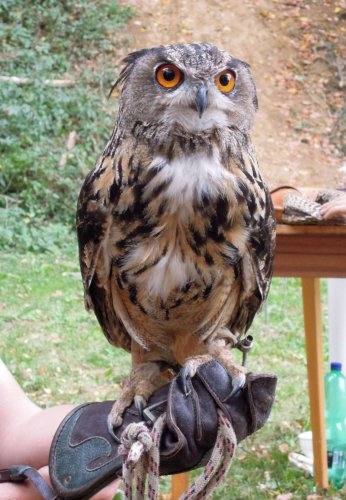 Rozloučení s prázdninami - V přírodě jsme jako doma - 25.8.2012