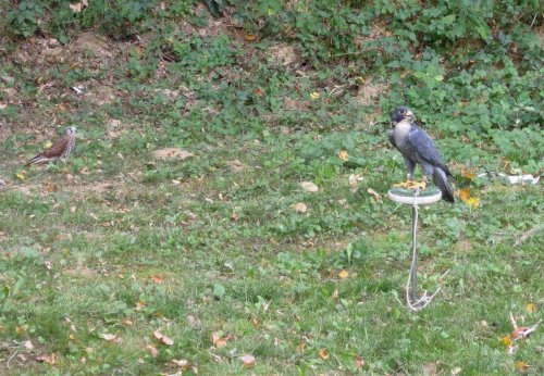 Rozloučení s prázdninami - V přírodě jsme jako doma - 25.8.2012