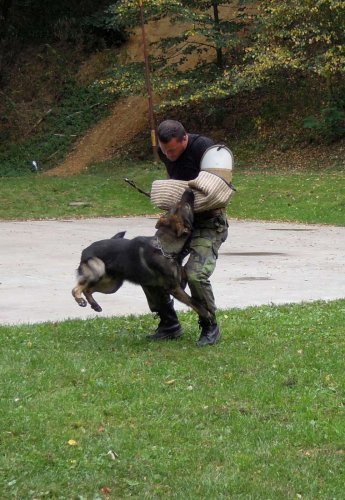 Rozloučení s prázdninami - V přírodě jsme jako doma - 25.8.2012
