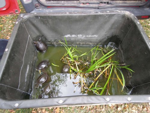 Rozloučení s prázdninami - V přírodě jsme jako doma - 25.8.2012