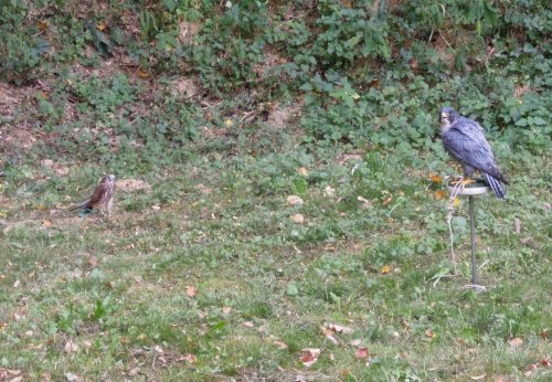 Rozloučení s prázdninami - V přírodě jsme jako doma - 25.8.2012