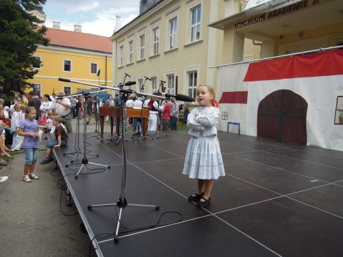 Slavnosti vína v Uherském Hradišti - 8.9.2012