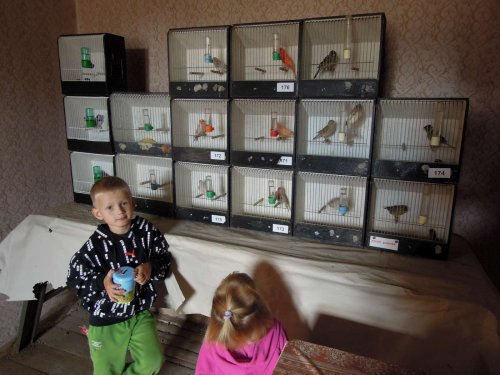 Výstava chovatelů - Propagační přehlídka exotů - 15.9.2012