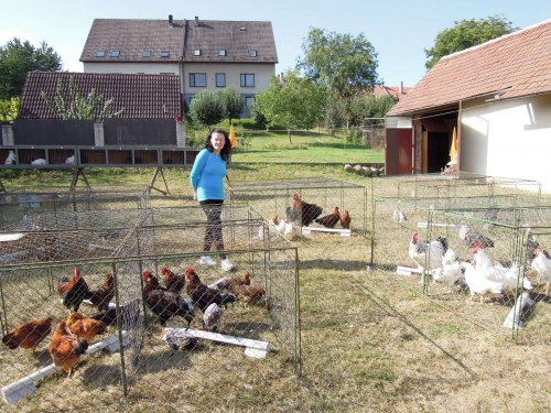 Výstava chovatelů - Propagační přehlídka exotů - 15.9.2012