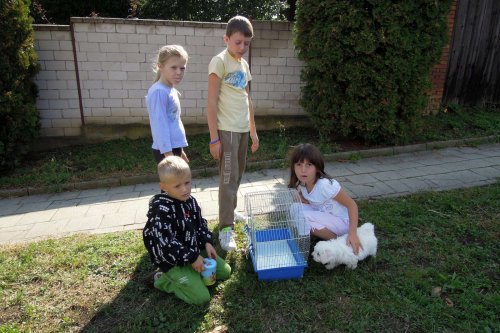 Výstava chovatelů - Propagační přehlídka exotů - 15.9.2012