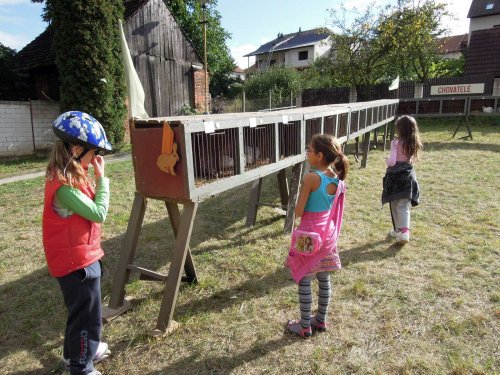 Výstava chovatelů - Propagační přehlídka exotů - 15.9.2012