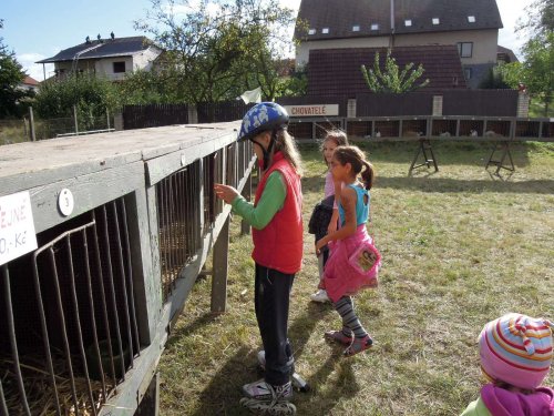 Výstava chovatelů - Propagační přehlídka exotů - 15.9.2012