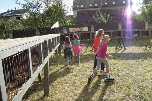 Výstava chovatelů - Propagační přehlídka exotů - 15.9.2012