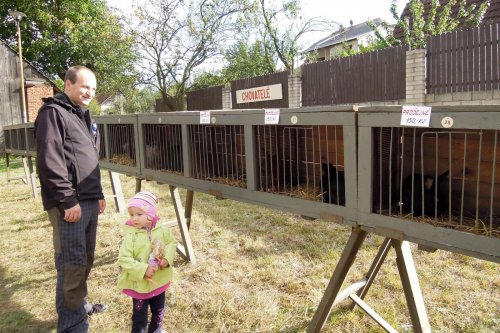 Výstava chovatelů - Propagační přehlídka exotů - 15.9.2012