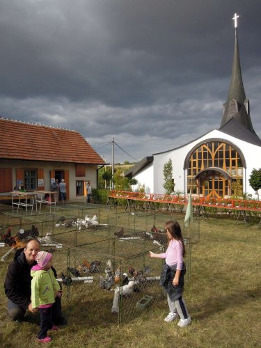 Výstava chovatelů - Propagační přehlídka exotů - 15.9.2012