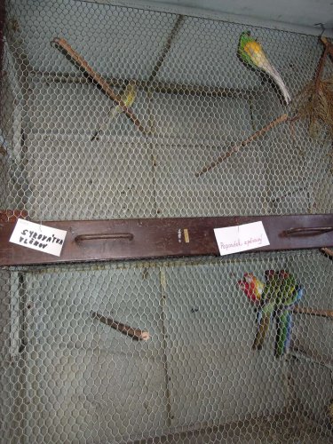 Výstava chovatelů - Propagační přehlídka exotů - 15.9.2012