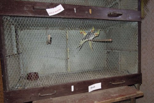 Výstava chovatelů - Propagační přehlídka exotů - 15.9.2012