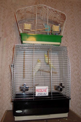 Výstava chovatelů - Propagační přehlídka exotů - 15.9.2012