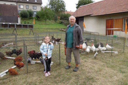 Výstava chovatelů - Propagační přehlídka exotů - 15.9.2012