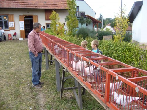 Výstava chovatelů - Propagační přehlídka exotů - 15.9.2012
