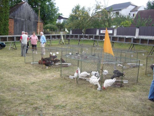 Výstava chovatelů - Propagační přehlídka exotů - 15.9.2012