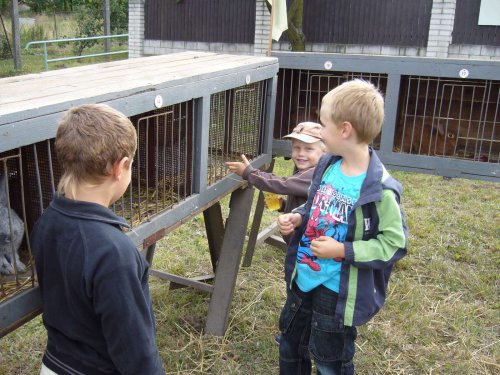 Výstava chovatelů - Propagační přehlídka exotů - 15.9.2012