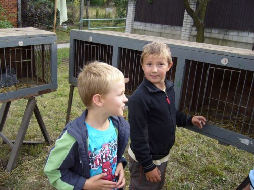 Výstava chovatelů - Propagační přehlídka exotů - 15.9.2012