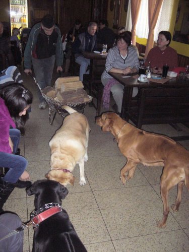 Silvestrovský pochod do Hradčovic - 31.12.2012