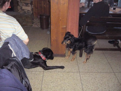 Silvestrovský pochod do Hradčovic - 31.12.2012