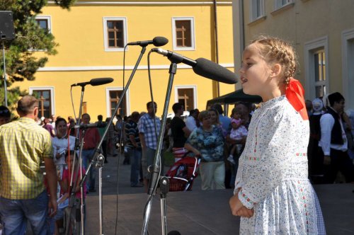Slavnosti vína v Uherském Hradišti - 7.9.2013