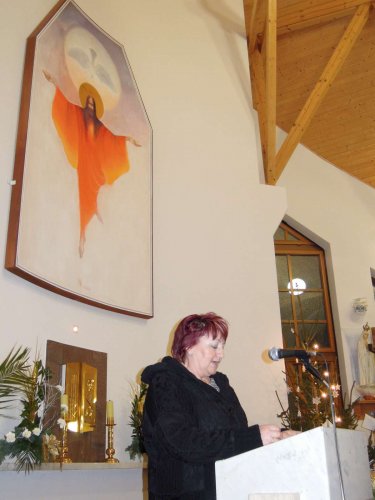 Vánoční koncert - 29.12.2013