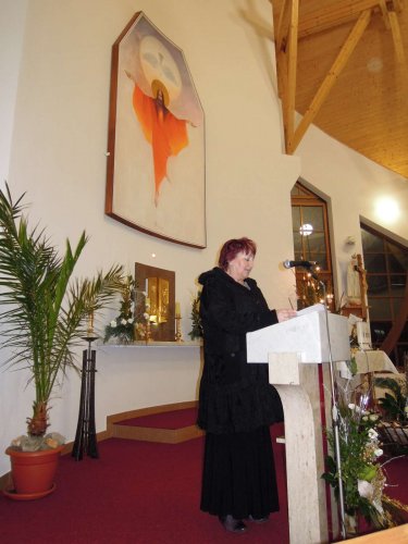 Vánoční koncert - 29.12.2013