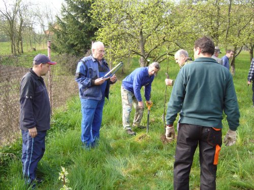 Jarní ošetřování stromů a výsadba nových ve školní zahradě - 6.4.2014