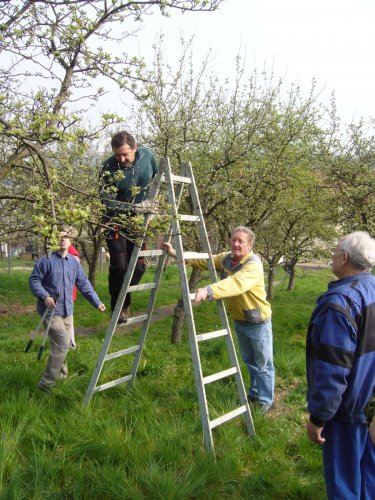 Jarní ošetřování stromů a výsadba nových ve školní zahradě - 6.4.2014