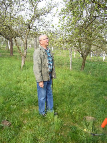 Jarní ošetřování stromů a výsadba nových ve školní zahradě - 6.4.2014