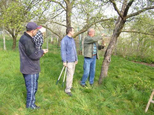 Jarní ošetřování stromů a výsadba nových ve školní zahradě - 6.4.2014