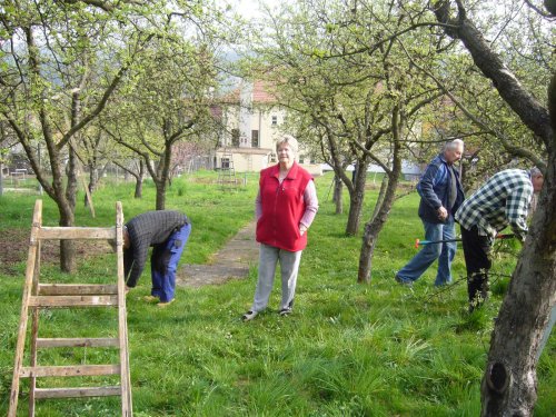 Jarní ošetřování stromů a výsadba nových ve školní zahradě - 6.4.2014