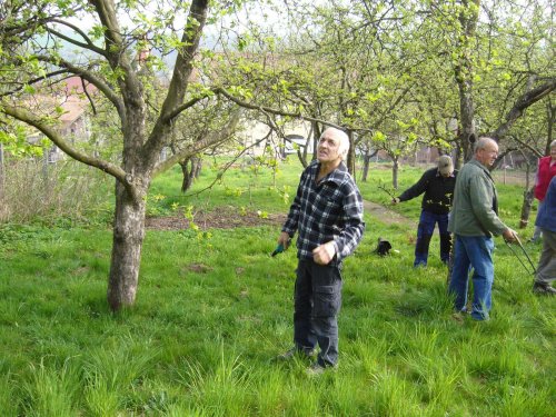 Jarní ošetřování stromů a výsadba nových ve školní zahradě - 6.4.2014