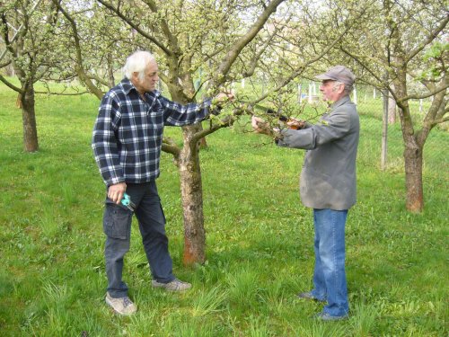 Jarní ošetřování stromů a výsadba nových ve školní zahradě - 6.4.2014