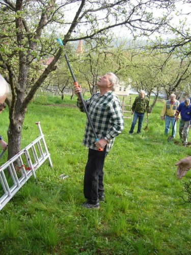 Jarní ošetřování stromů a výsadba nových ve školní zahradě - 6.4.2014