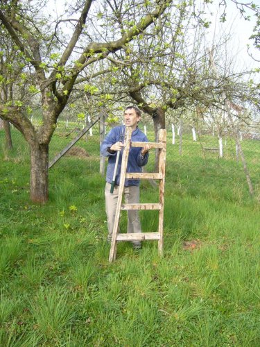 Jarní ošetřování stromů a výsadba nových ve školní zahradě - 6.4.2014