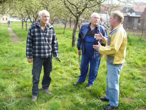 Jarní ošetřování stromů a výsadba nových ve školní zahradě - 6.4.2014